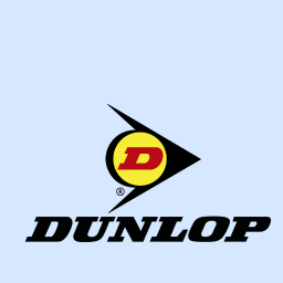Dunlop təkəri