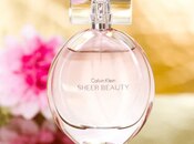 "Calvin Klein Beauty Sheer (A Class Dubay)" ətri